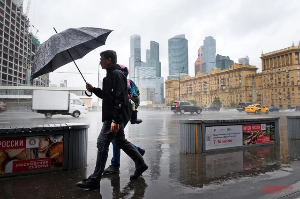 В Москве 27 апреля выпало больше месячной нормы осадков